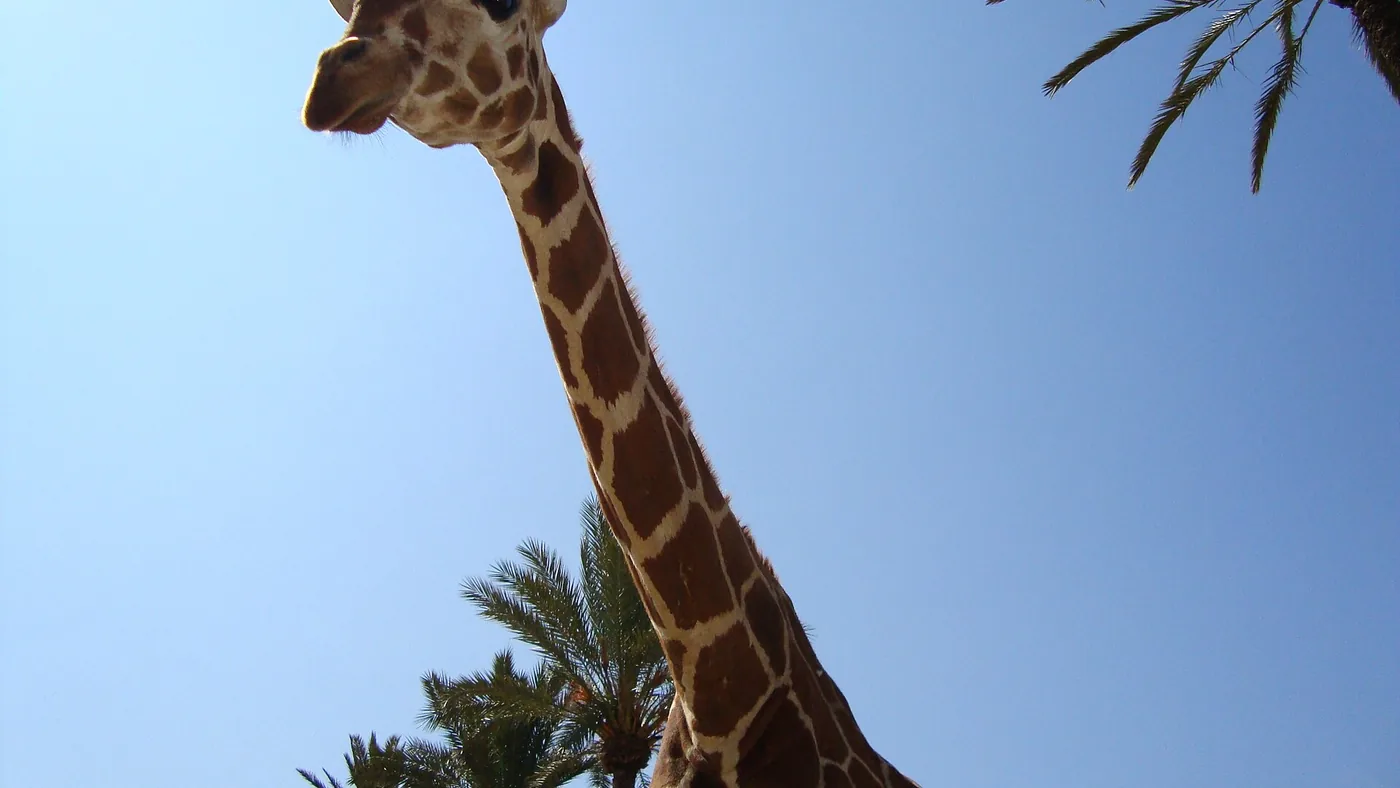 Vista del parque Río Safari Elche