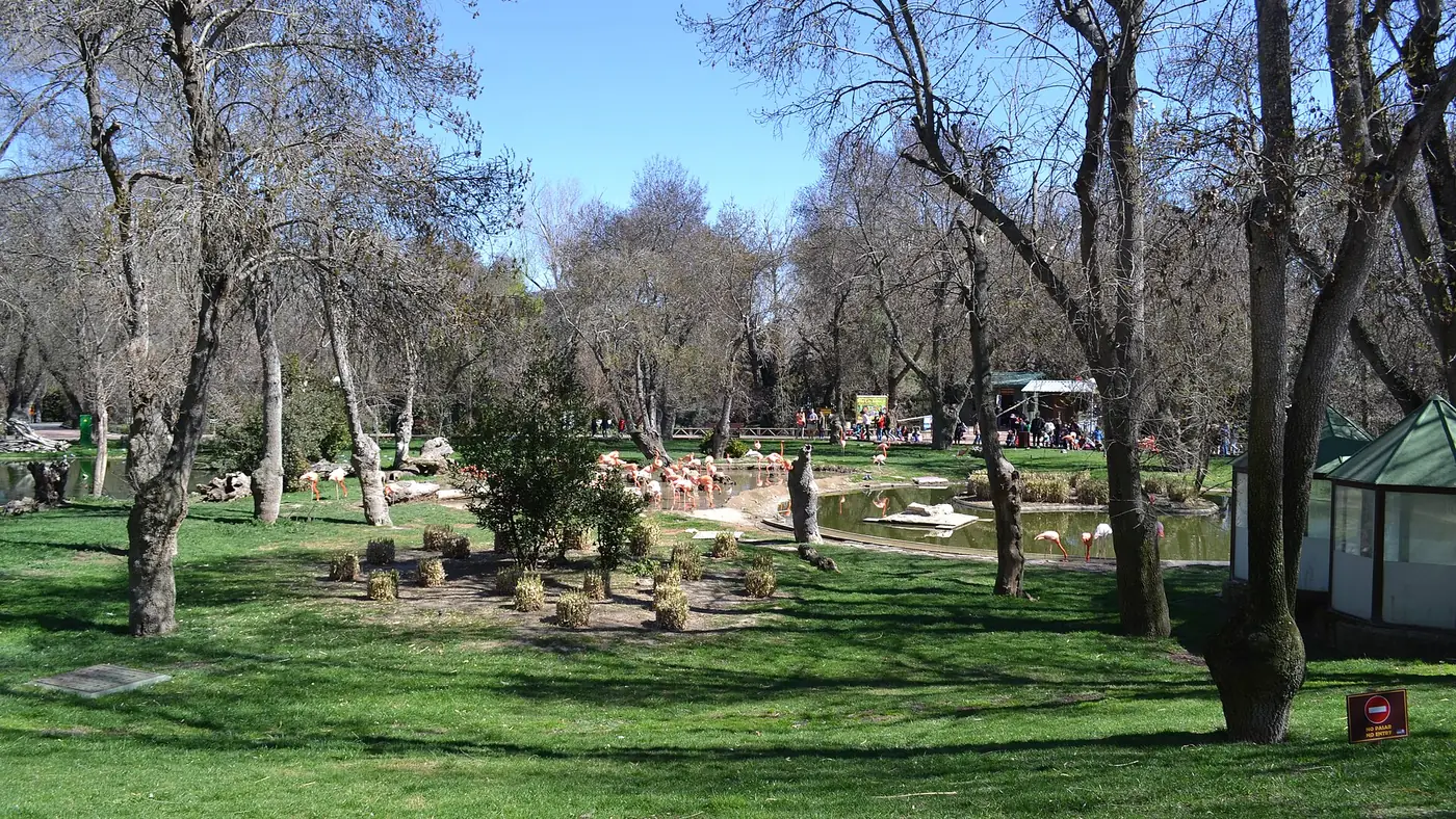 Vista del parque Zoo Aquarium de Madrid